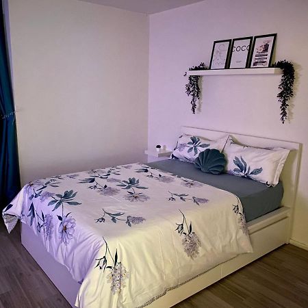2 Zimmer Wohnung Im Herzen Von براونشفايغ المظهر الخارجي الصورة